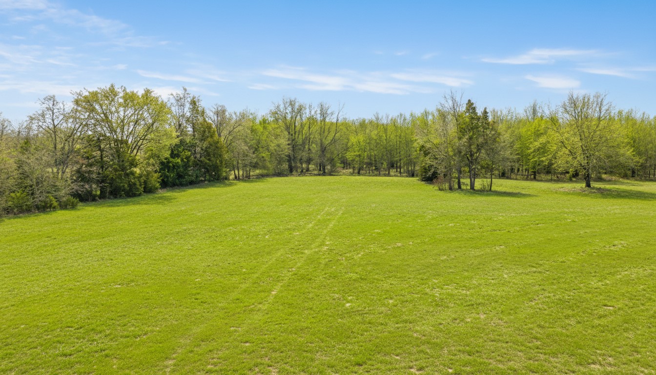 Tbd County Road 1420 Bogata TX 75417