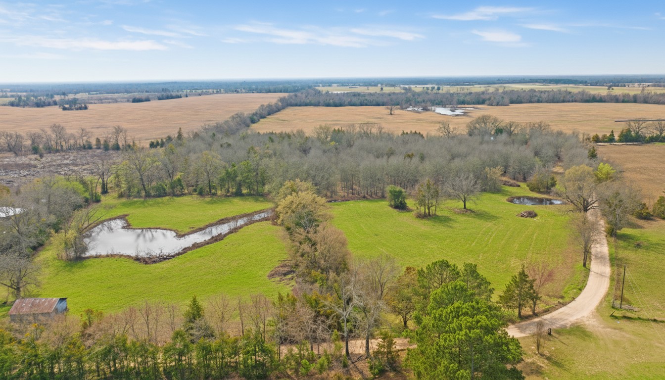 Tbd County Road 1420 Bogata TX 75417