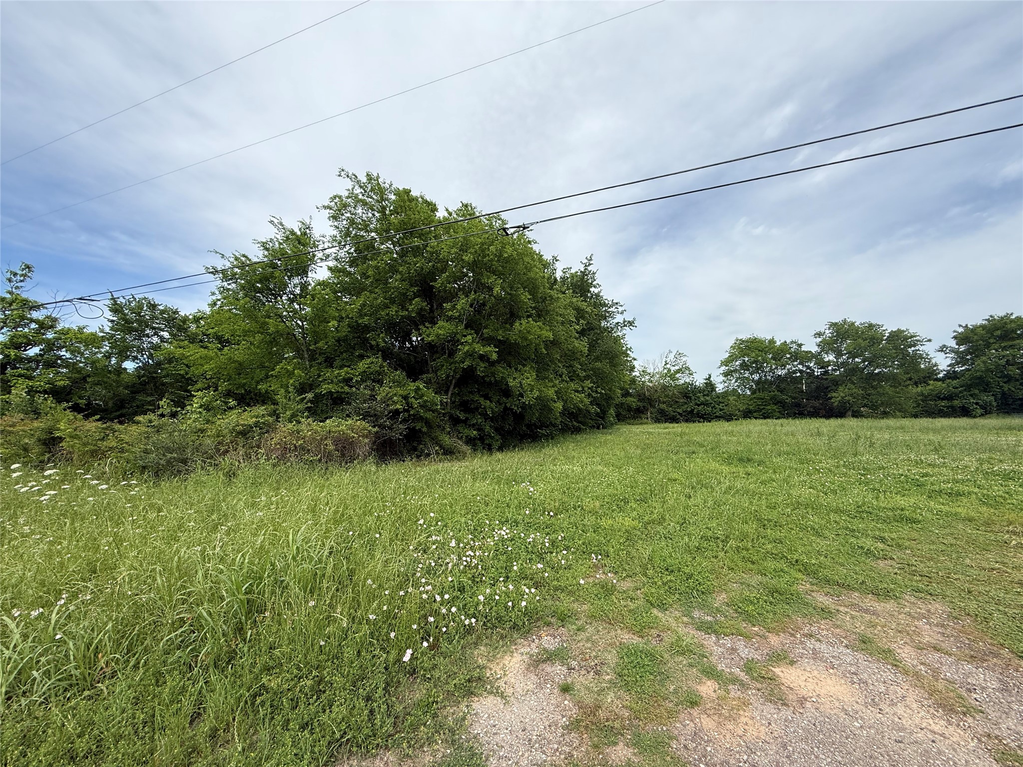 Tbd Mount Vernon Road Bogata TX 75417
