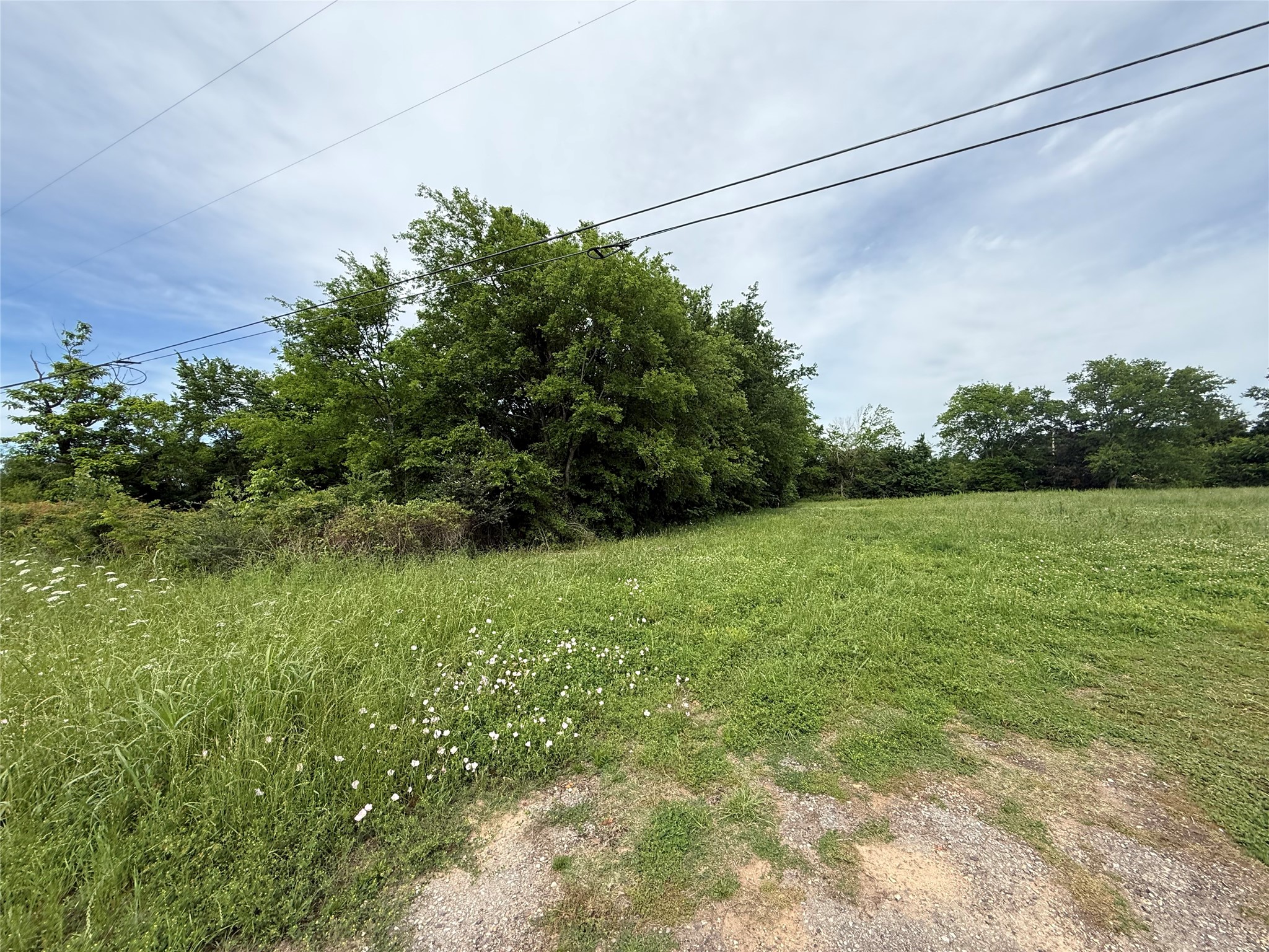 Tbd Mount Vernon Road Bogata TX 75417