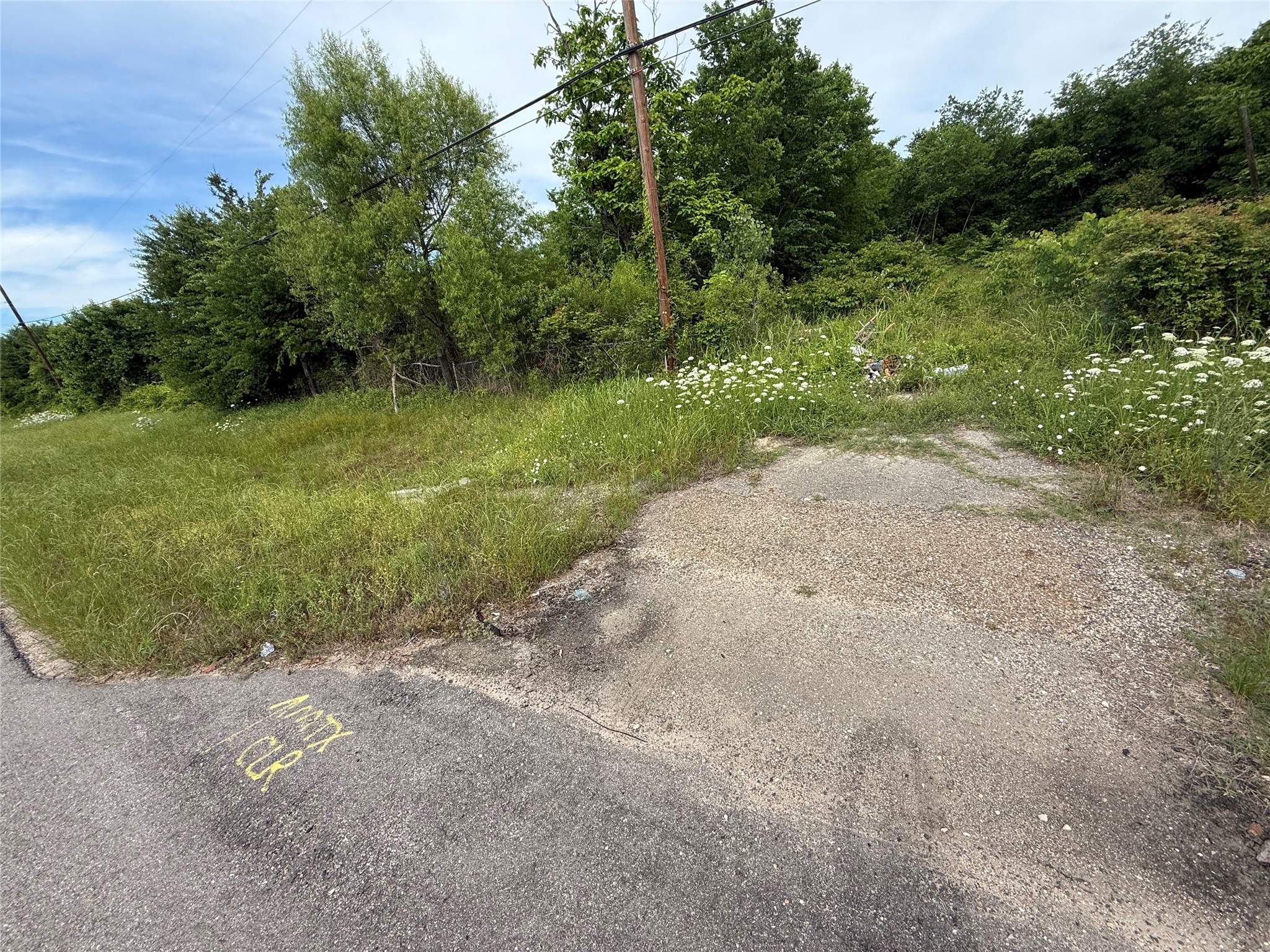 Tbd Mount Vernon Road Bogata TX 75417