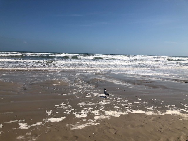 134 China Beach Drive Corpus Christi TX 78373
