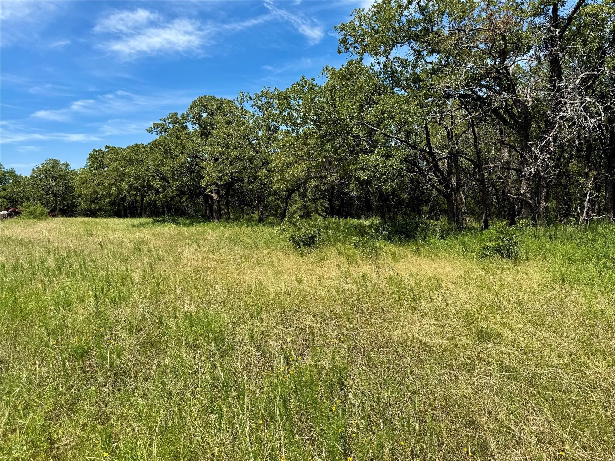 120 Nocona Drive Nocona TX 76255
