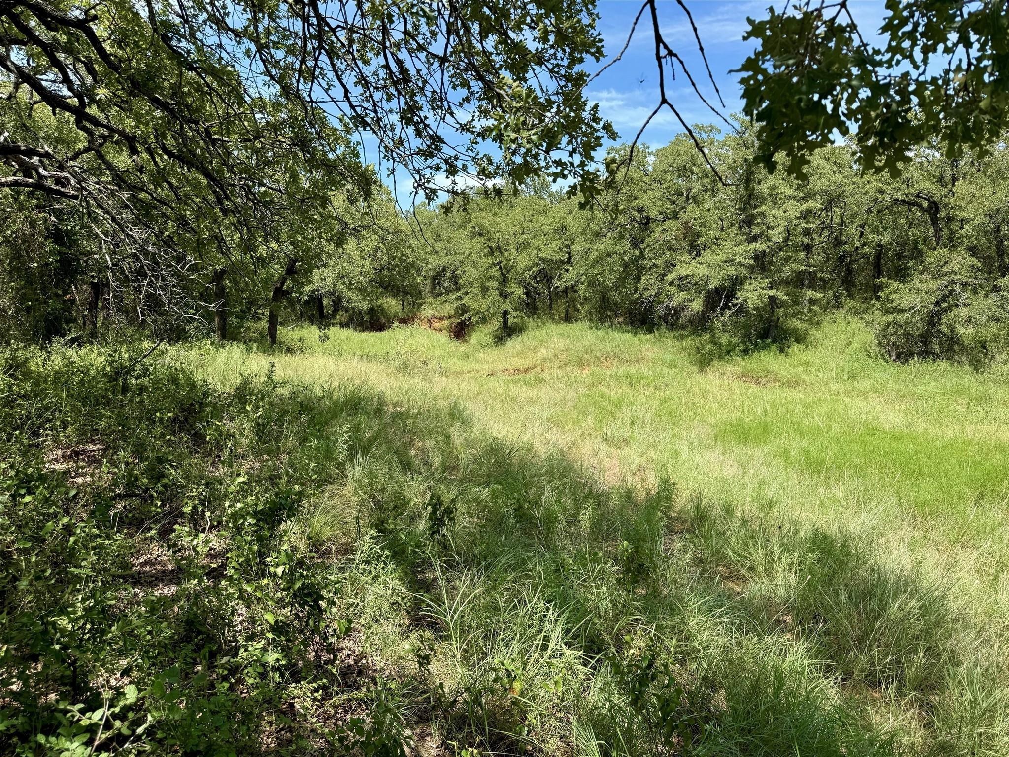 120 Nocona Drive Nocona TX 76255