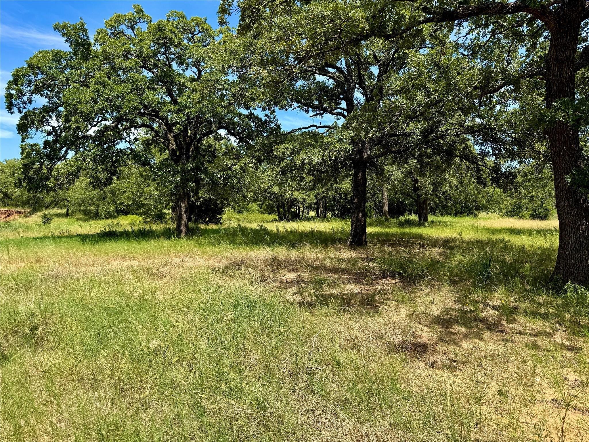 120 Nocona Drive Nocona TX 76255