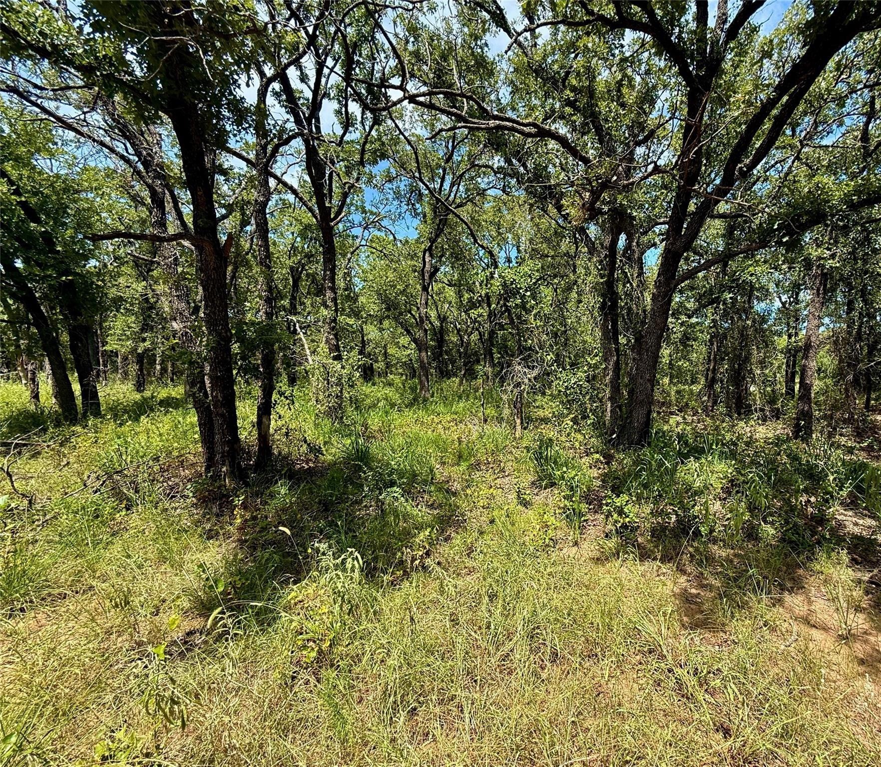 120 Nocona Drive Nocona TX 76255