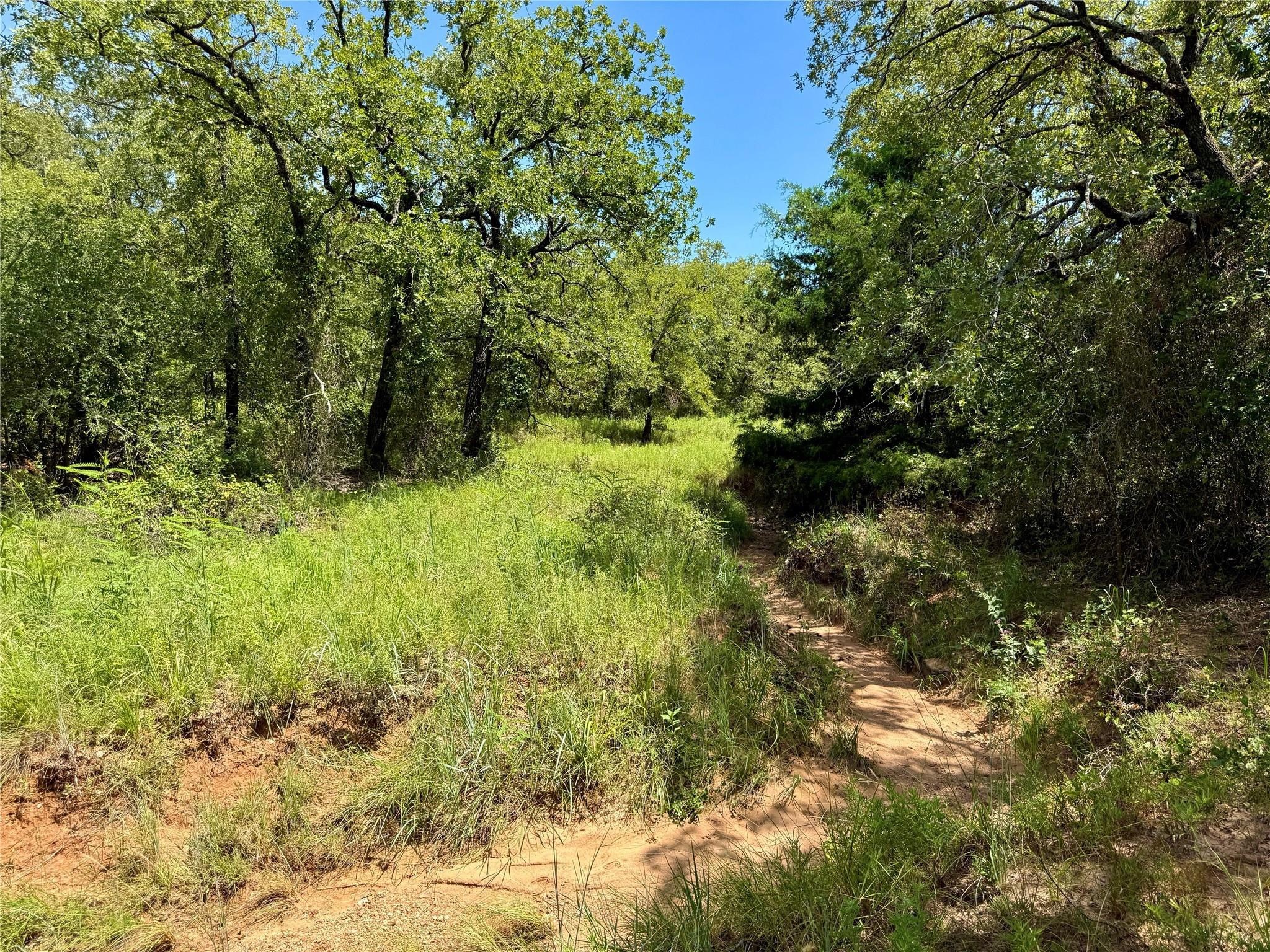 120 Nocona Drive Nocona TX 76255