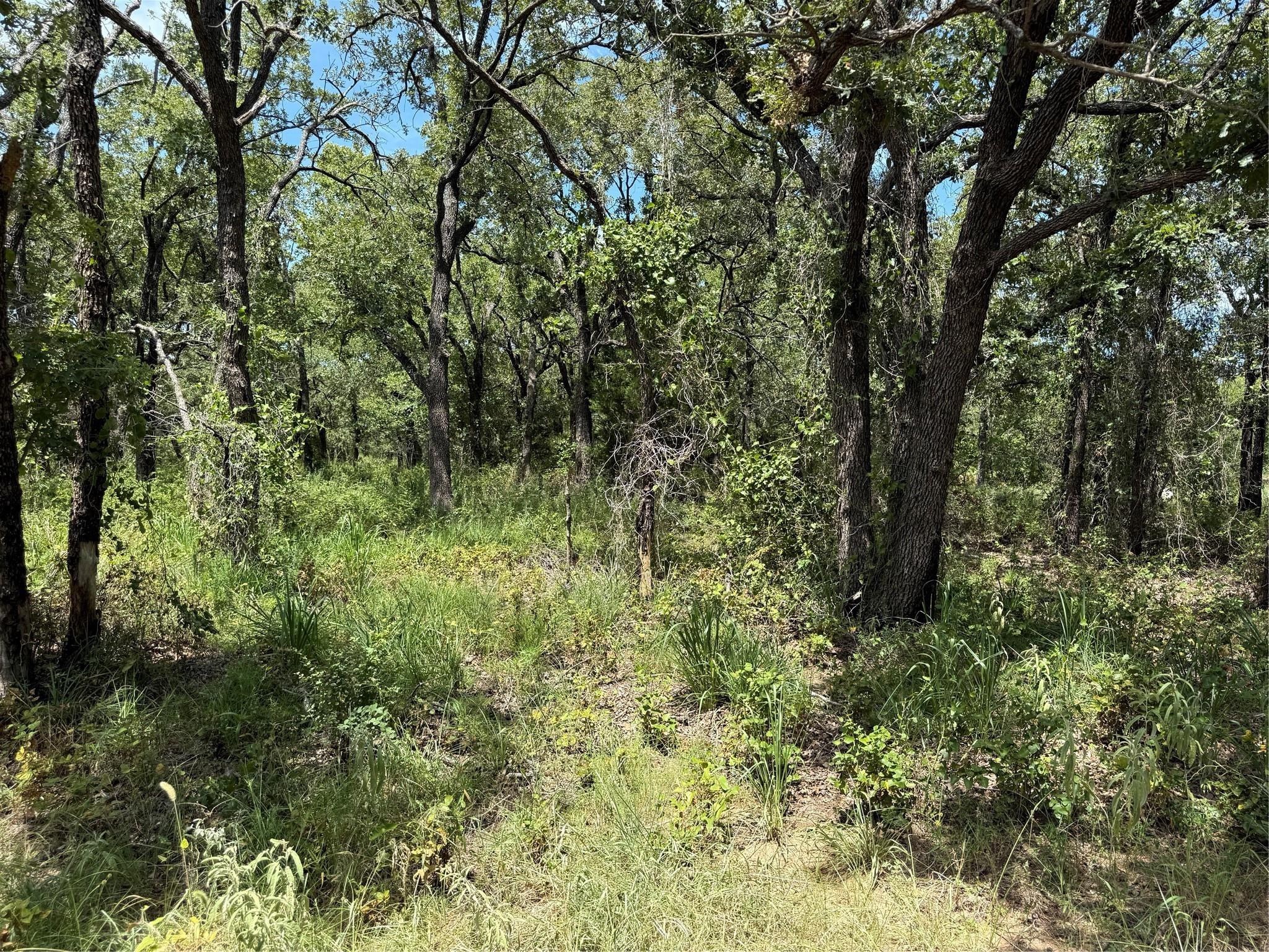 120 Nocona Drive Nocona TX 76255