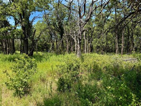 120 Nocona Drive Nocona TX 76255