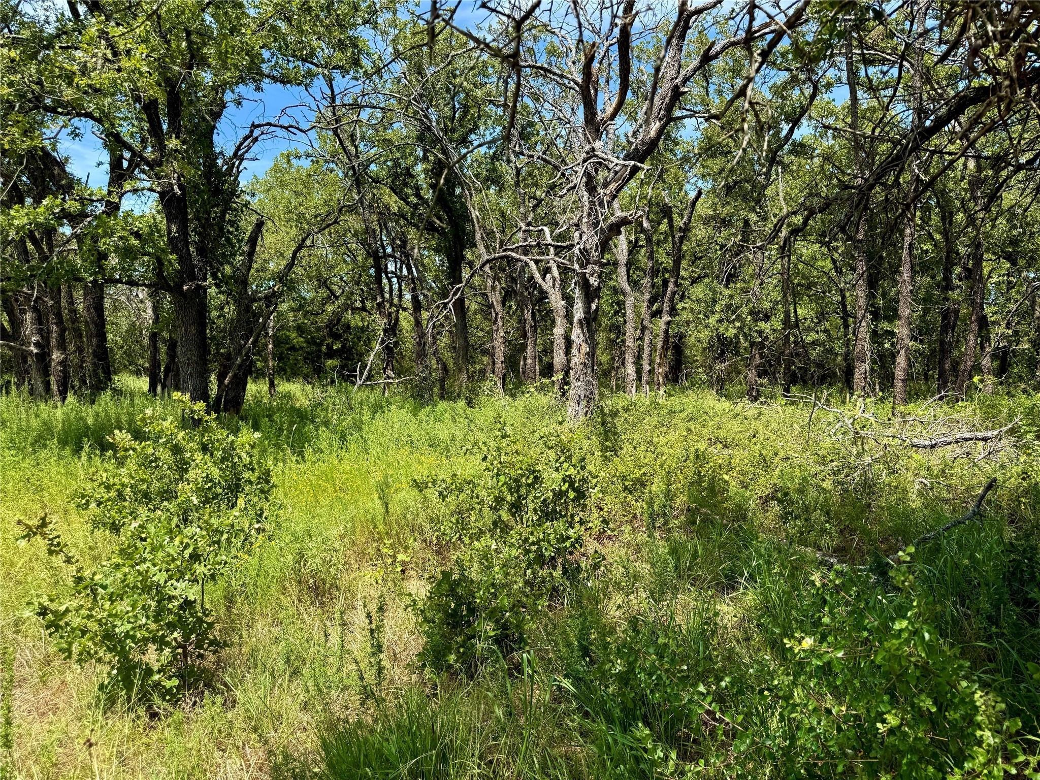 120 Nocona Drive Nocona TX 76255