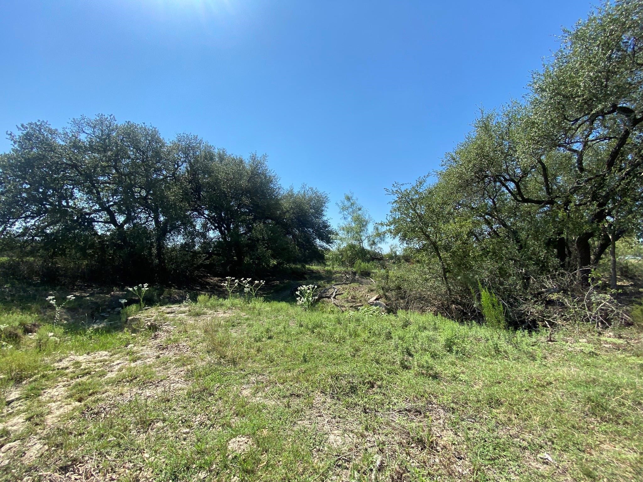 Tbd State Highway 16 South S Goldthwaite TX 76844