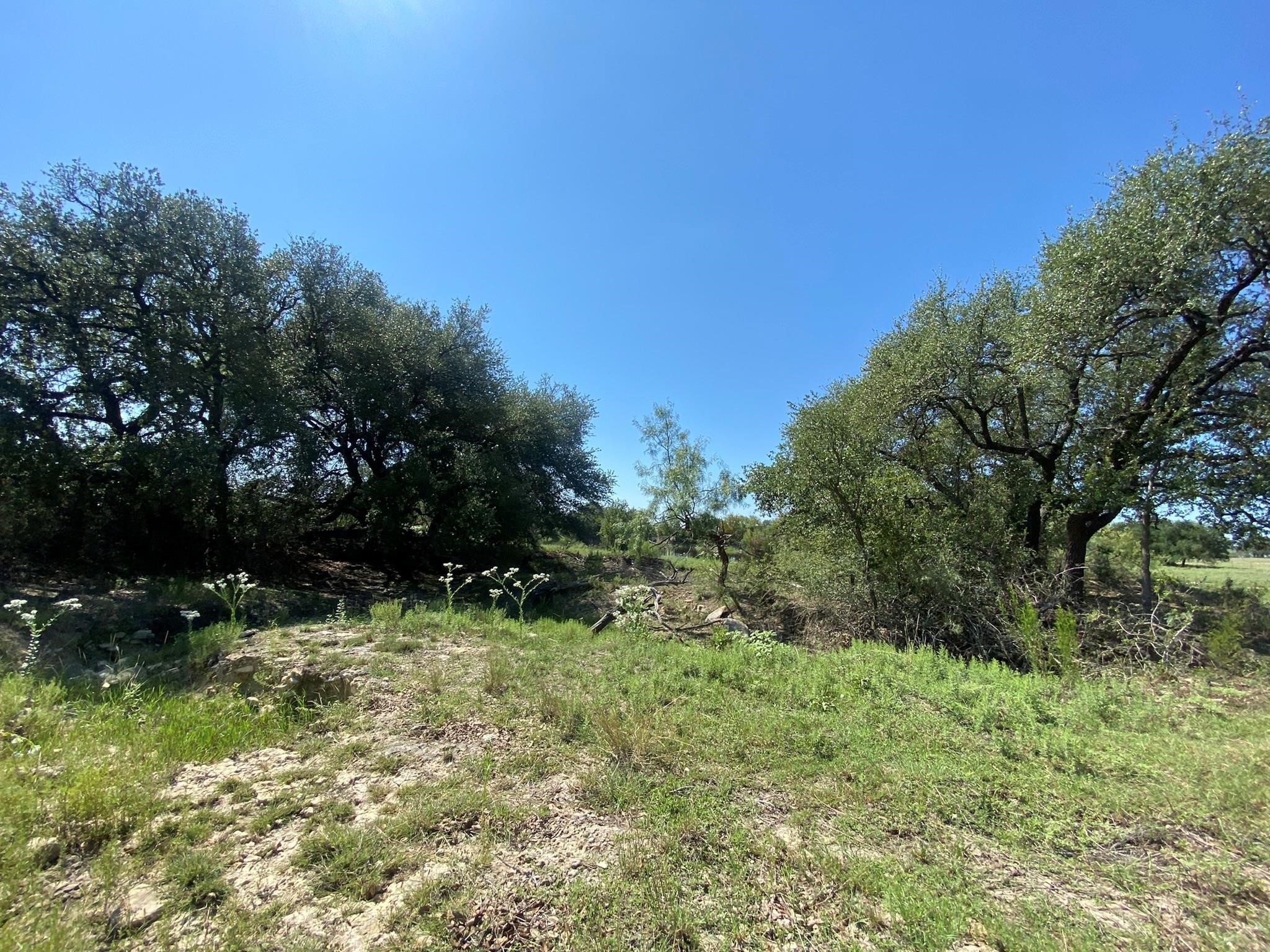 Tbd State Highway 16 South S Goldthwaite TX 76844