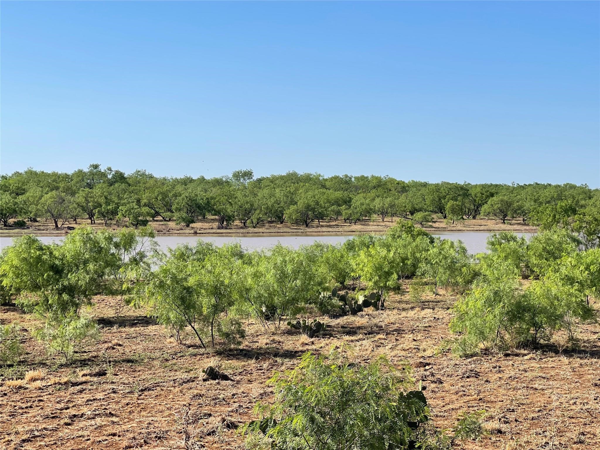 Tbd County Road 346 Gouldbusk TX 76845