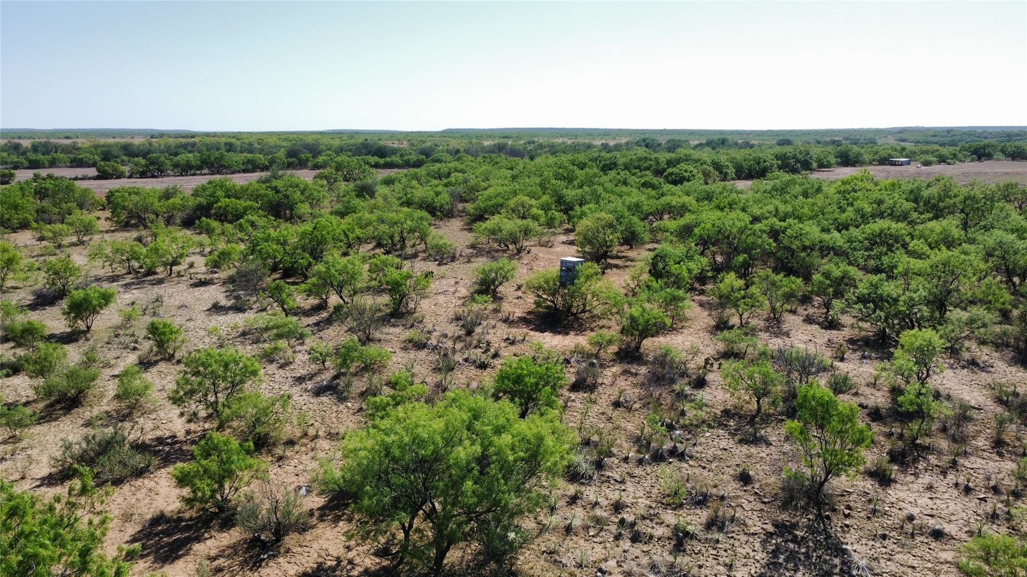 Tbd County Road 346 Gouldbusk TX 76845