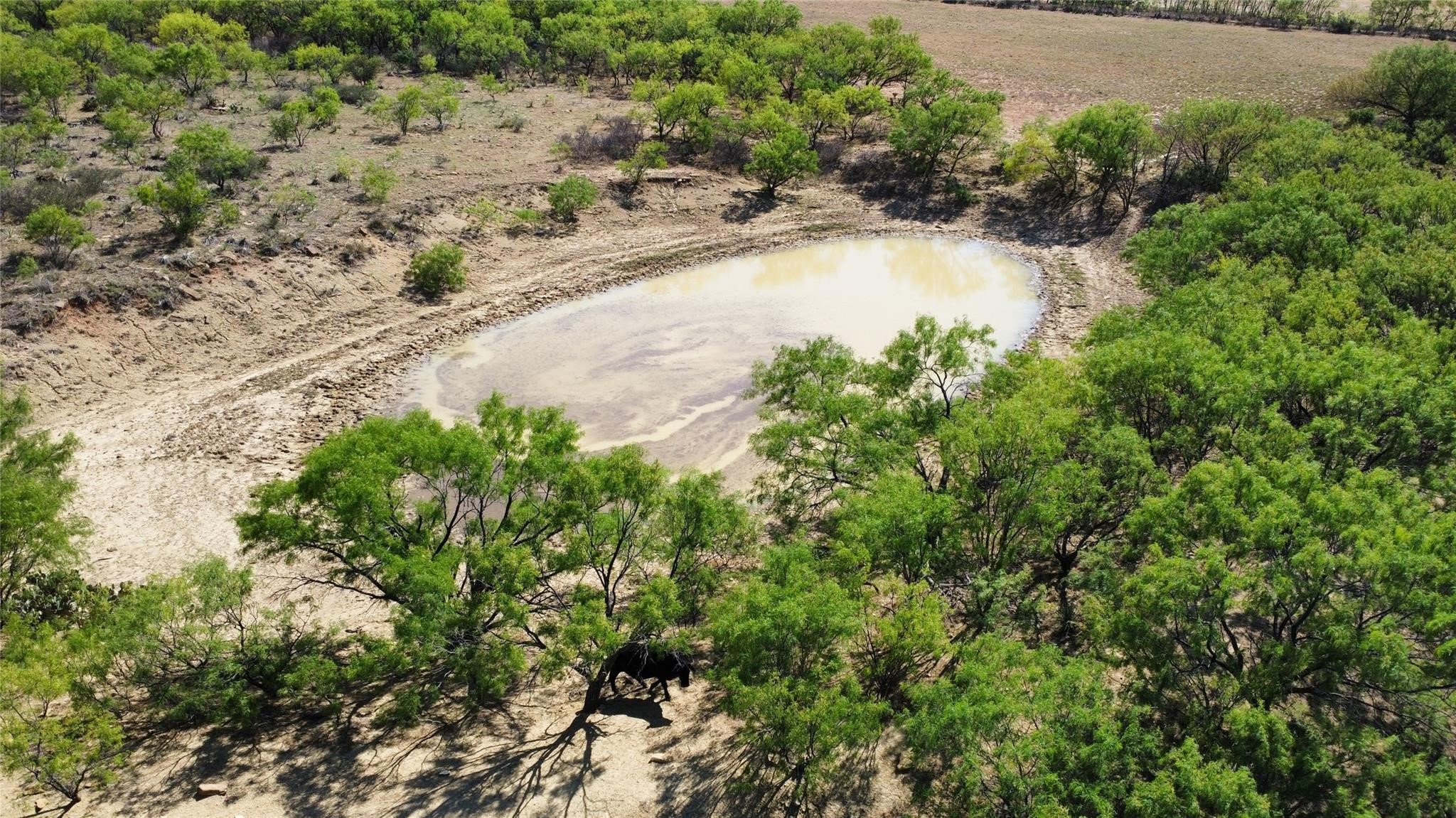 Tbd County Road 346 Gouldbusk TX 76845