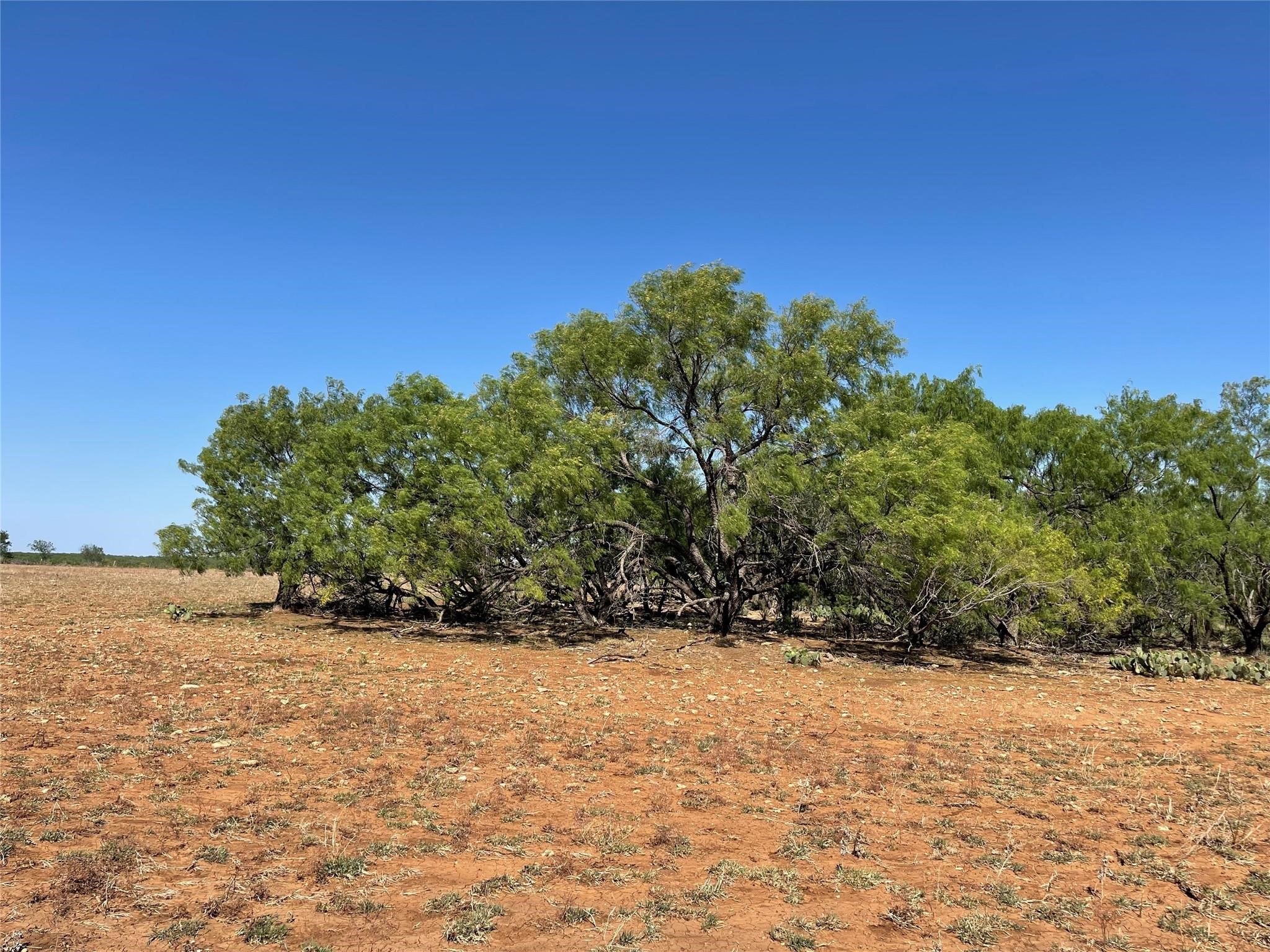 Tbd County Road 346 Gouldbusk TX 76845