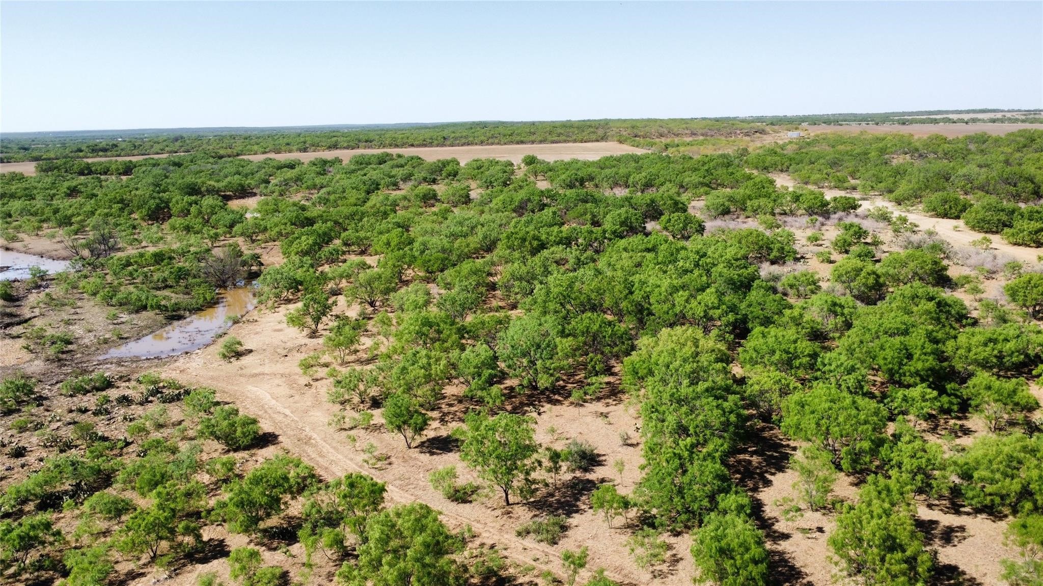 Tbd County Road 346 Gouldbusk TX 76845