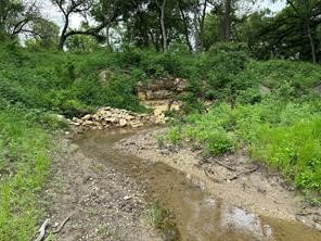 Lot 3 Ranchside Court Itasca TX 76055