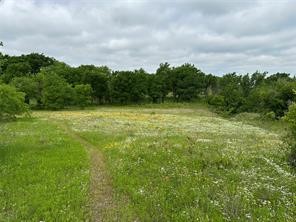 Lot 3 Ranchside Court Itasca TX 76055