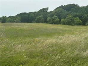 Lot 3 Ranchside Court Itasca TX 76055
