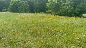 Lot 3 Ranchside Court Itasca TX 76055