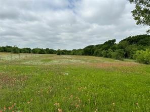 Lot 3 Ranchside Court Itasca TX 76055