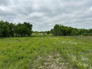 Lot 3 Ranchside Court Itasca TX 76055