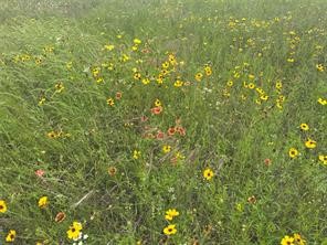 Lot 3 Ranchside Court Itasca TX 76055