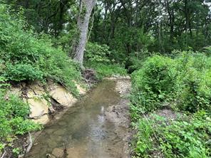 Lot 3 Ranchside Court Itasca TX 76055