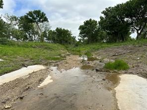 Lot 3 Ranchside Court Itasca TX 76055
