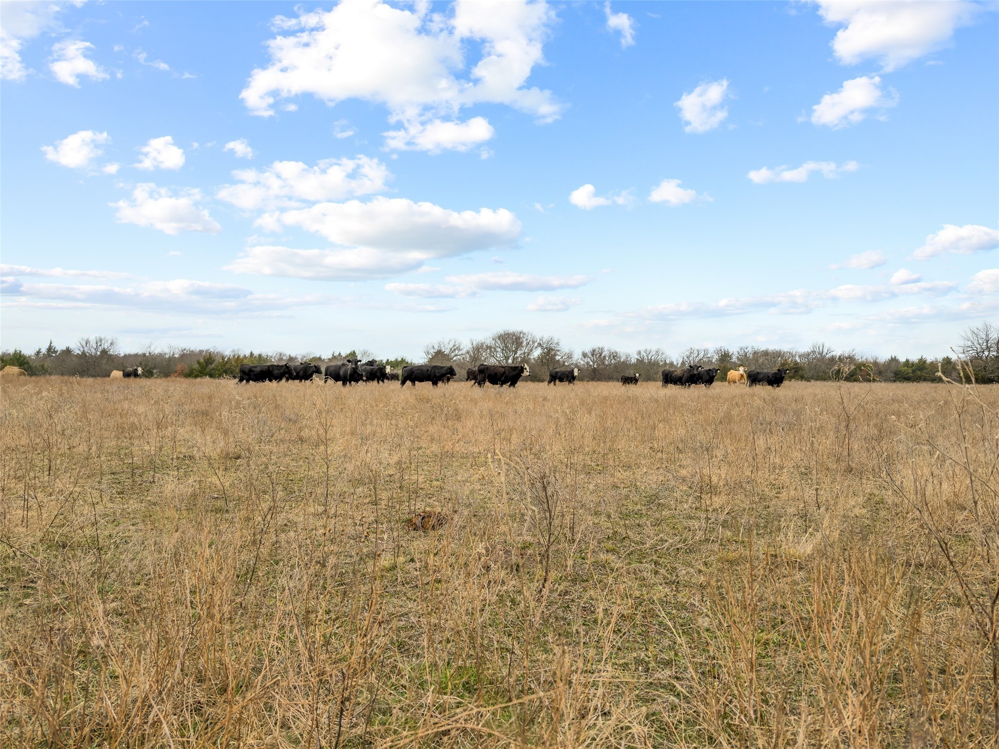 Tract 2 County Road 1255 Savoy TX 75479