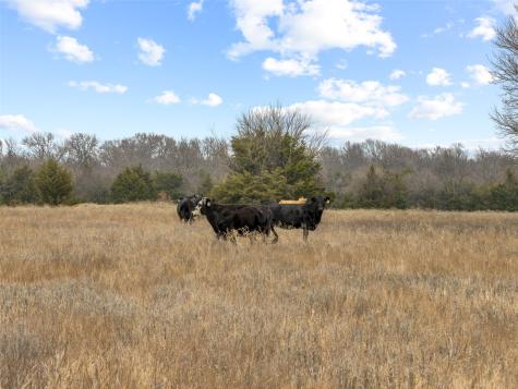 Tract 2 County Road 1255 Savoy TX 75479