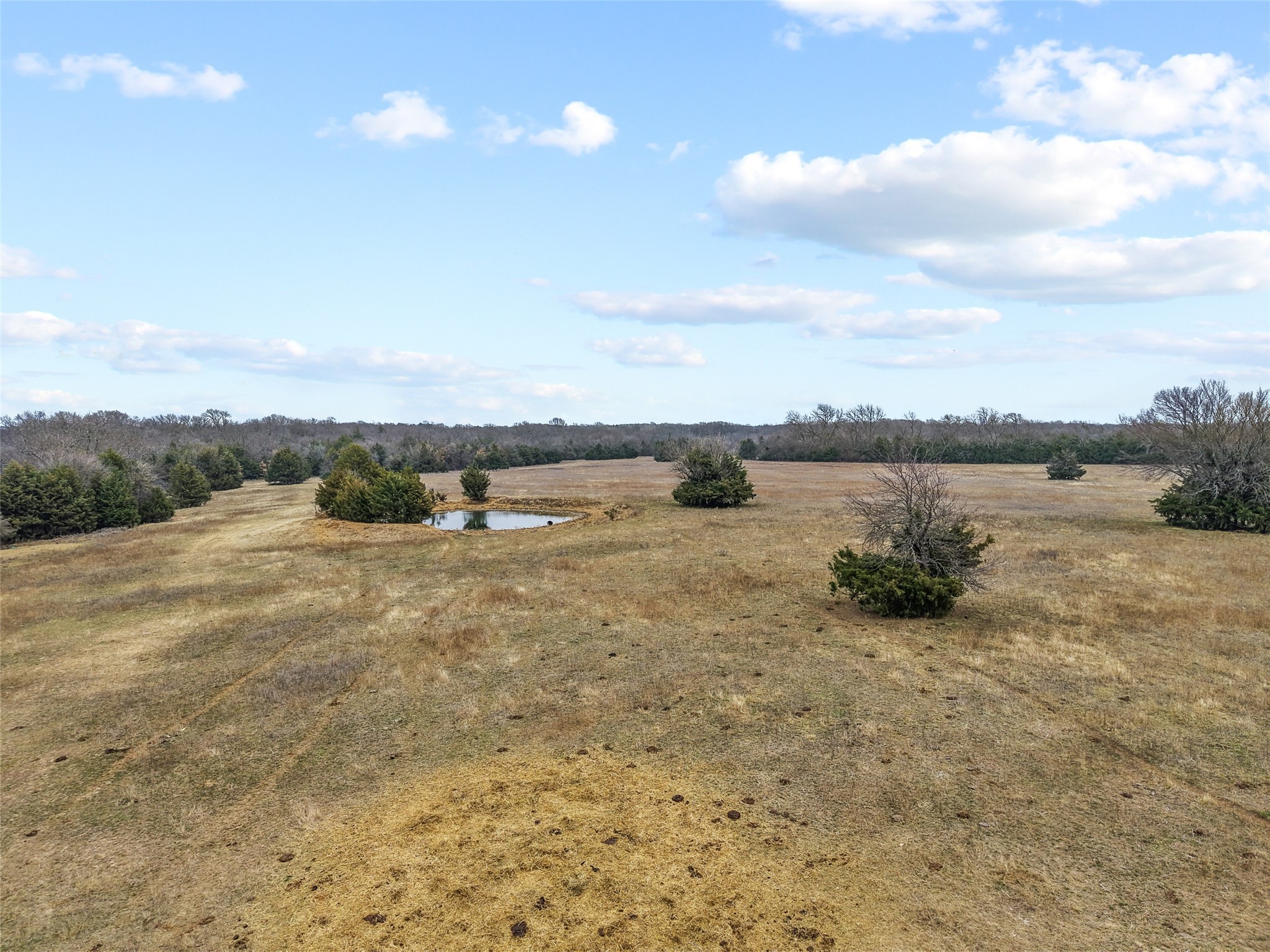 Tract 2 County Road 1255 Savoy TX 75479