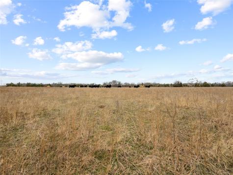 Tract 2 County Road 1255 Savoy TX 75479