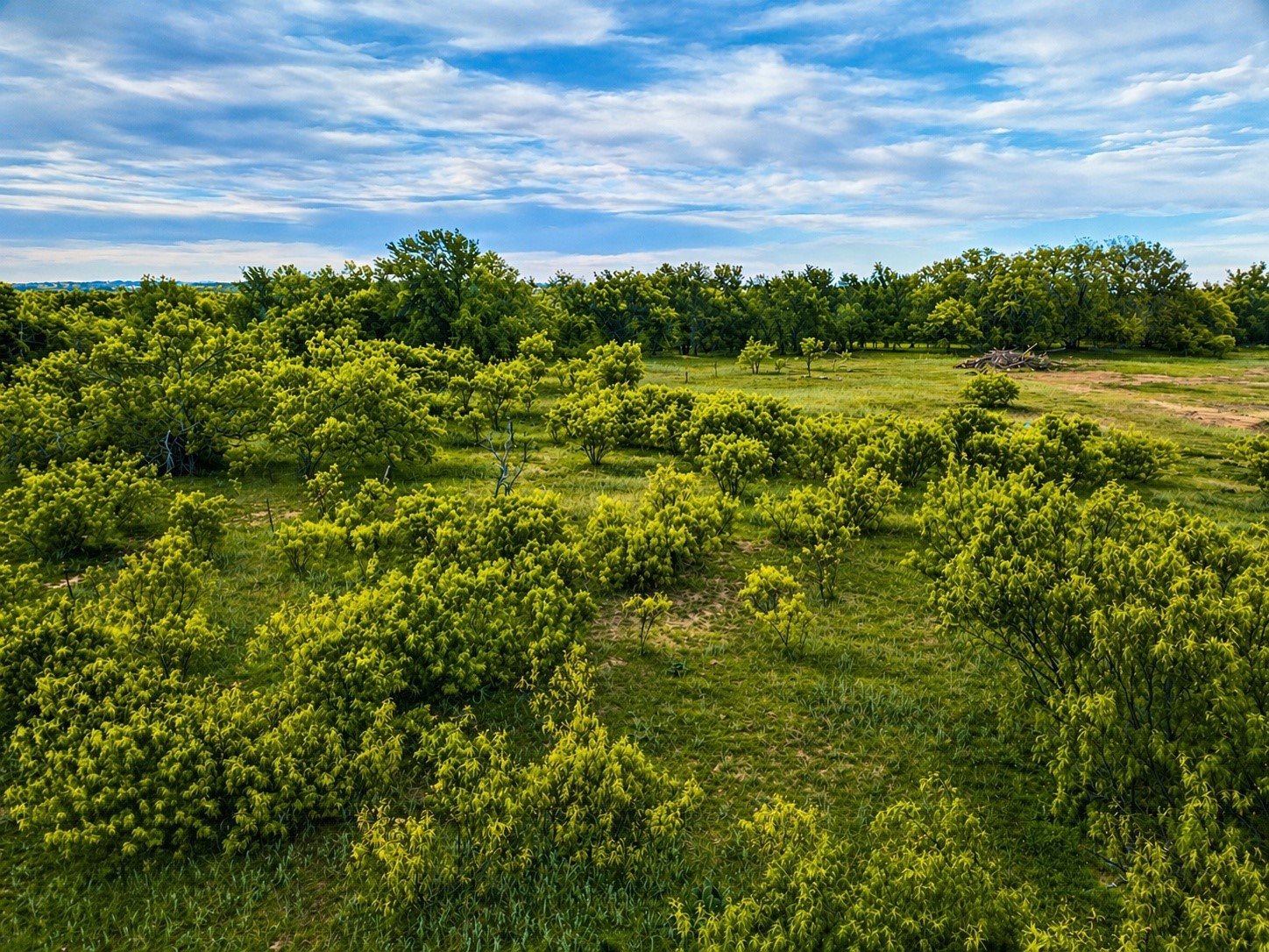 Tbd Floyd Court Weatherford TX 76087