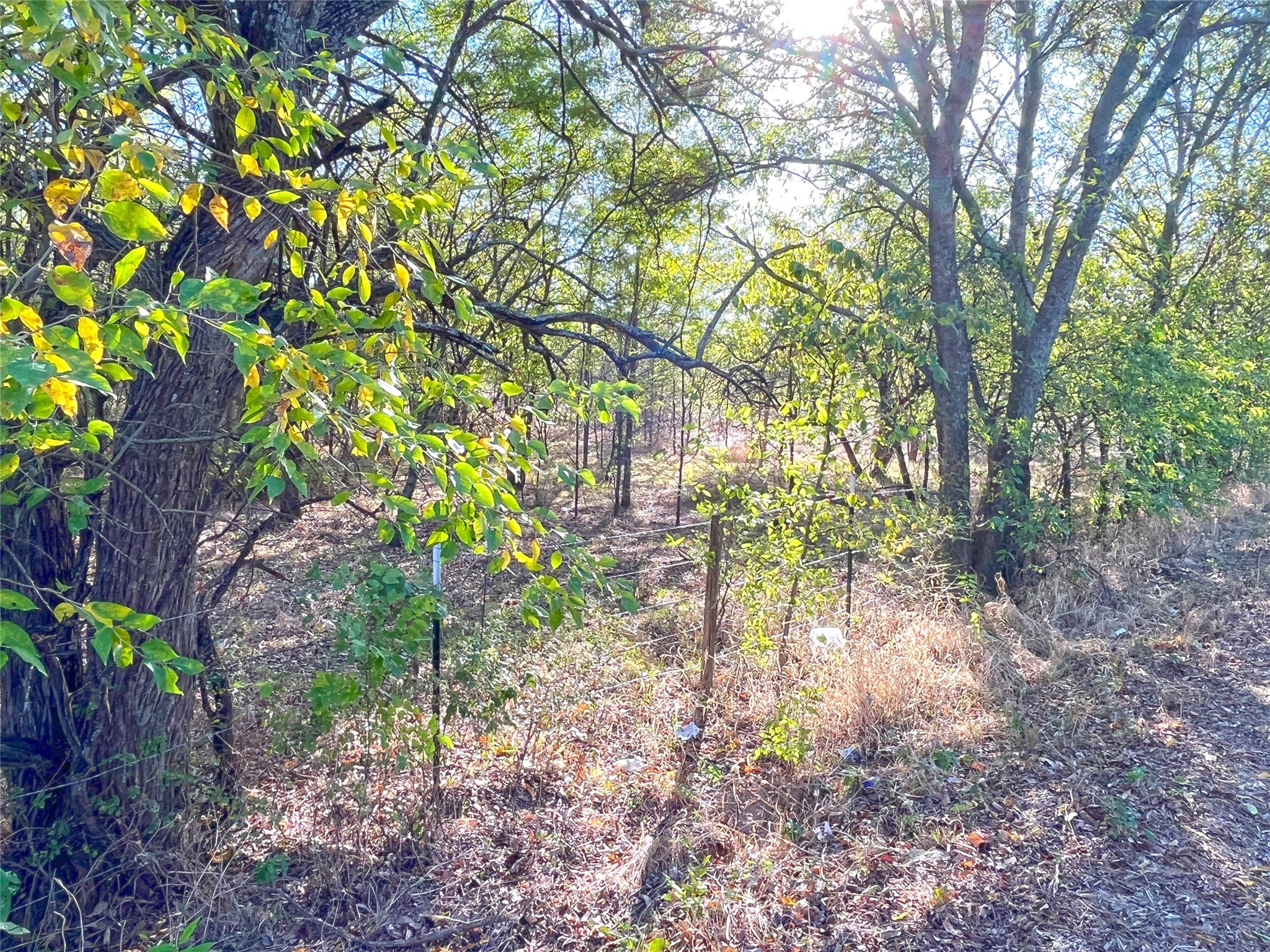 Tbd Highway 289 Gunter TX 75058