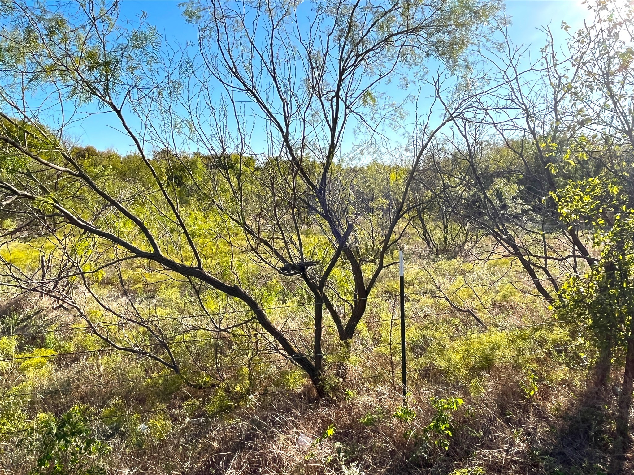 Tbd Highway 289 Gunter TX 75058