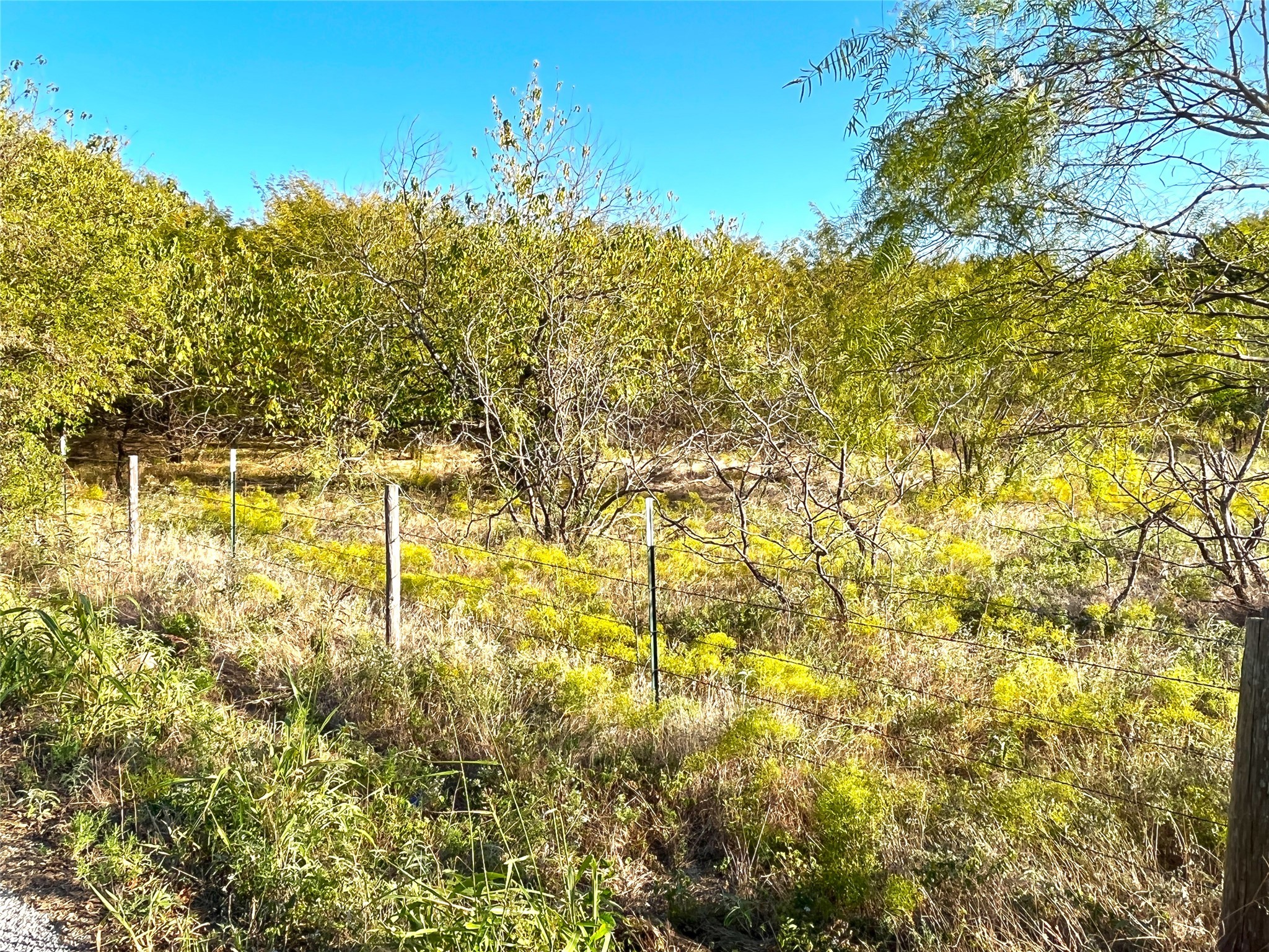 Tbd Highway 289 Gunter TX 75058