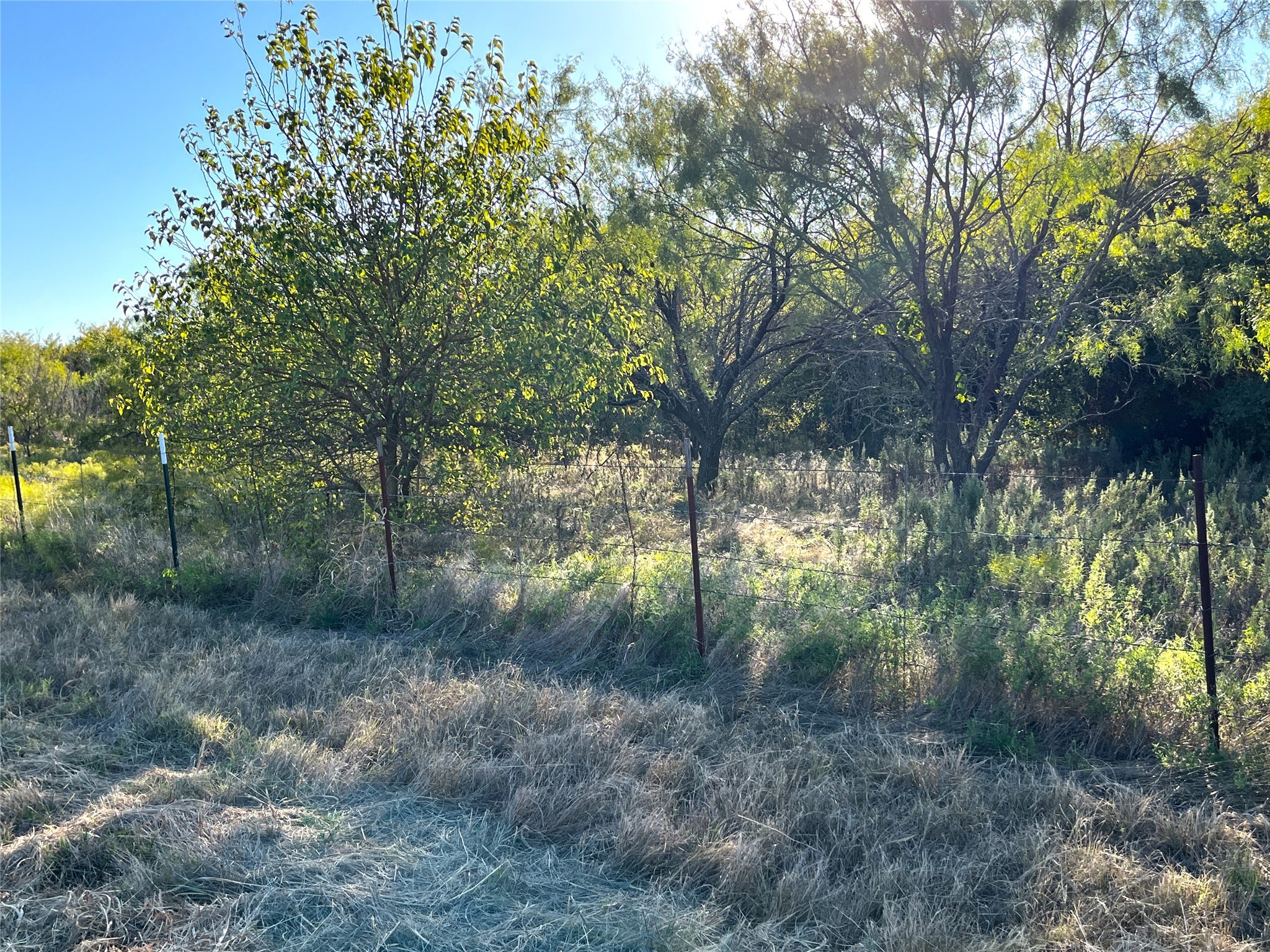 Tbd Highway 289 Gunter TX 75058