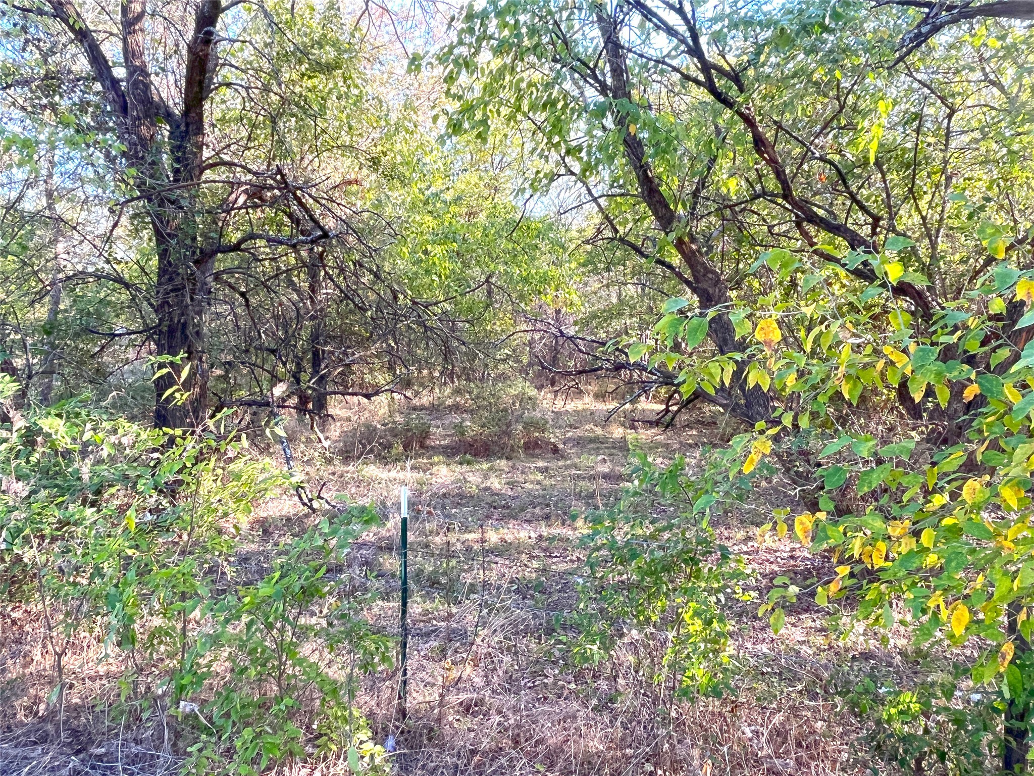 Tbd Highway 289 Gunter TX 75058
