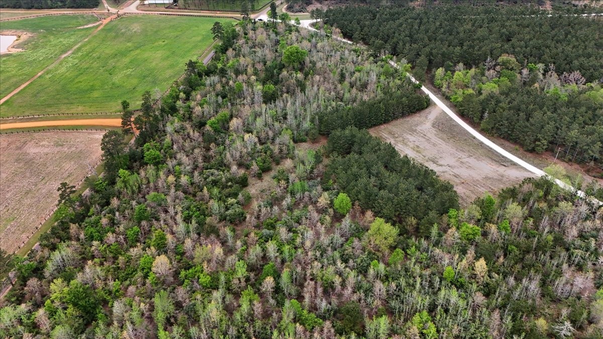 Tbd Lake Nacogdoches Ranch Nacogdoches TX 75943