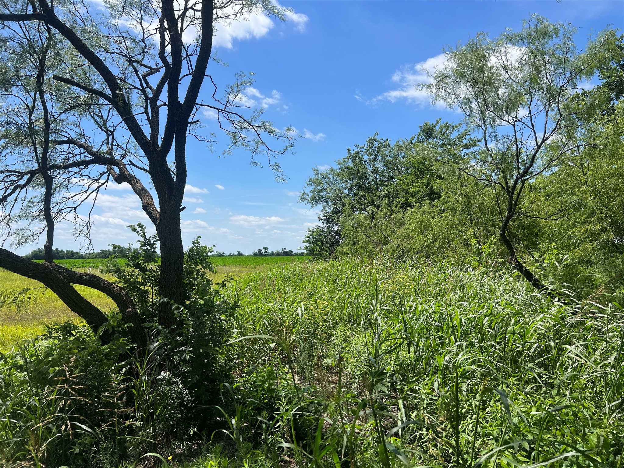 Tbd Hcr 1153 Blum TX 76627