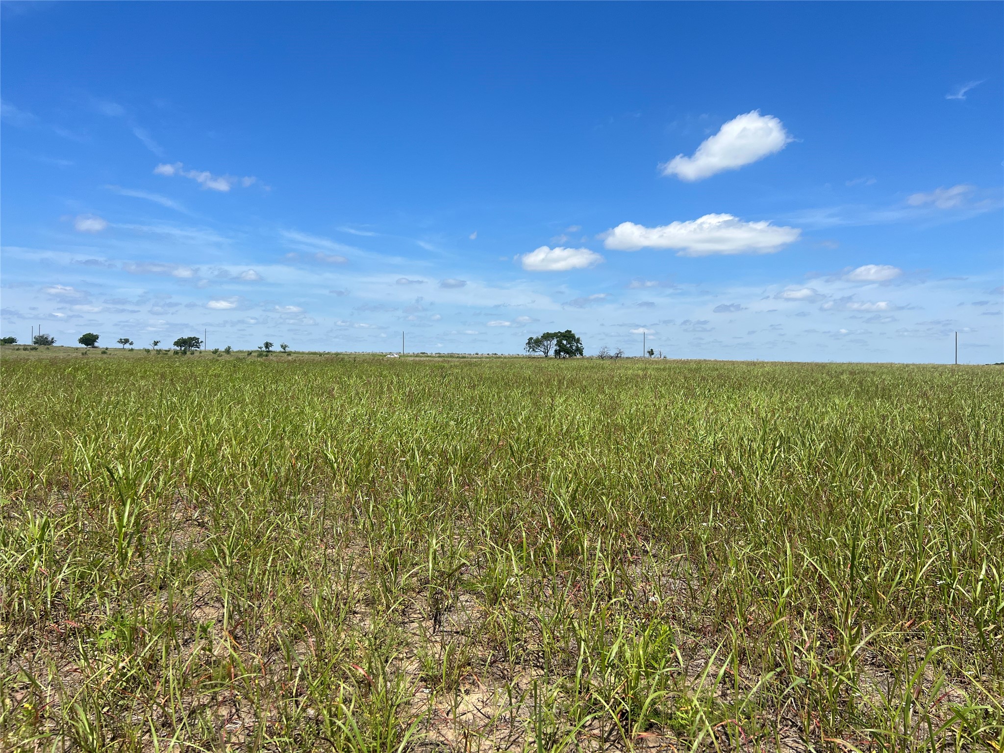 Tbd Hcr 1153 Blum TX 76627