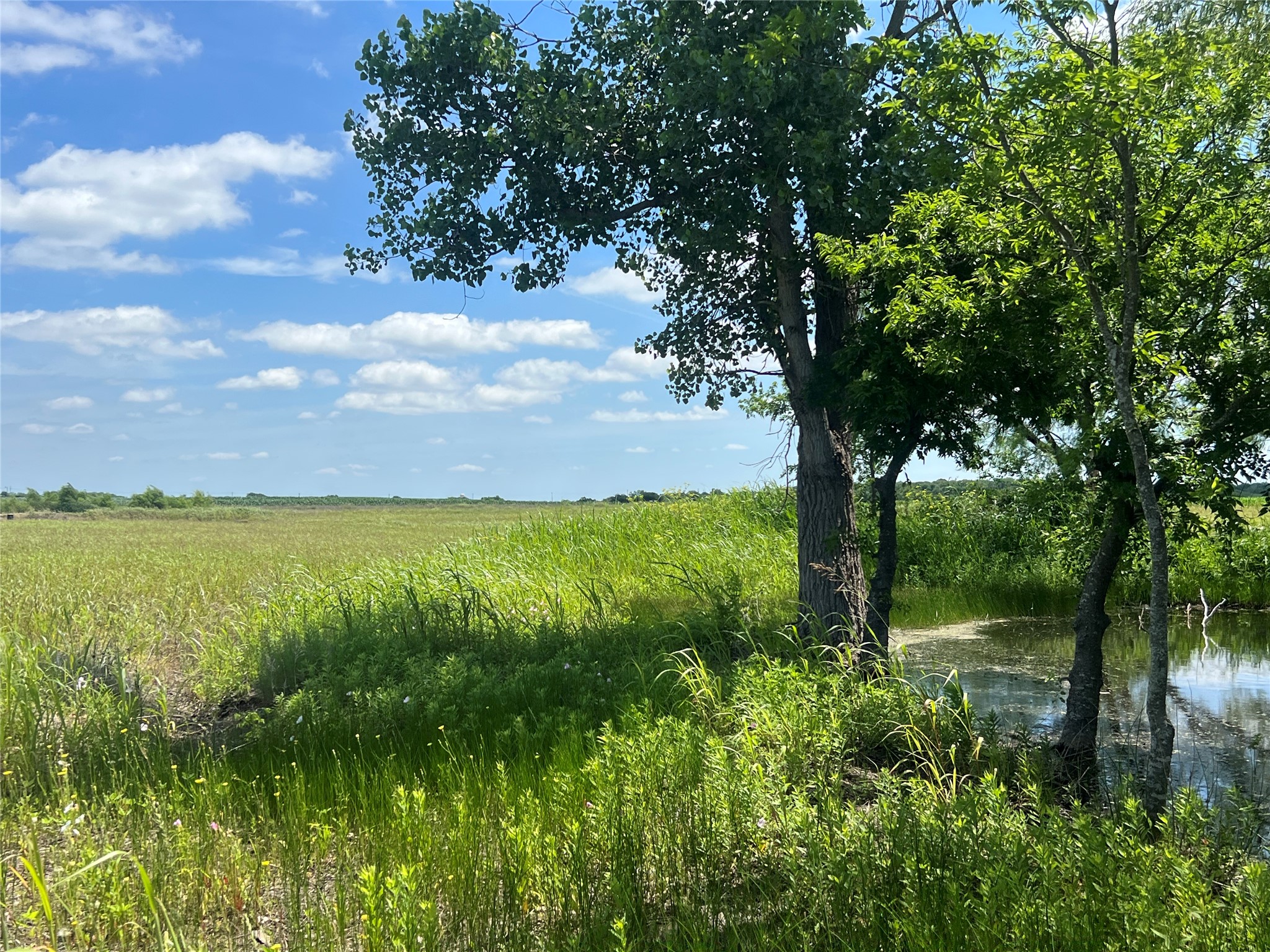 Tbd Hcr 1153 Blum TX 76627