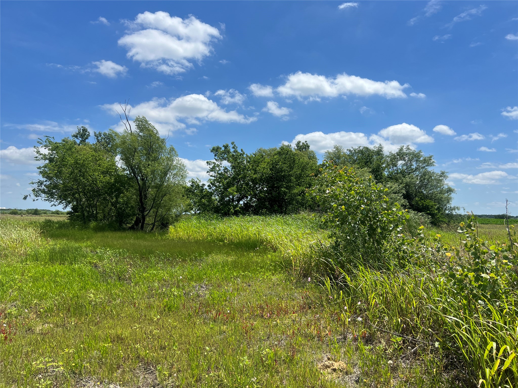 Tbd Hcr 1153 Blum TX 76627