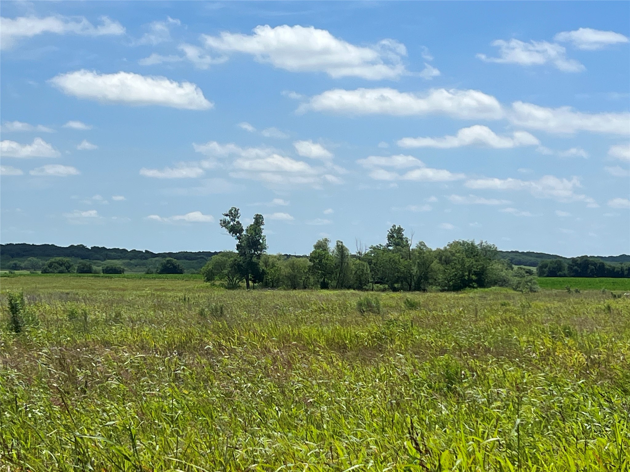 Tbd Hcr 1153 Blum TX 76627