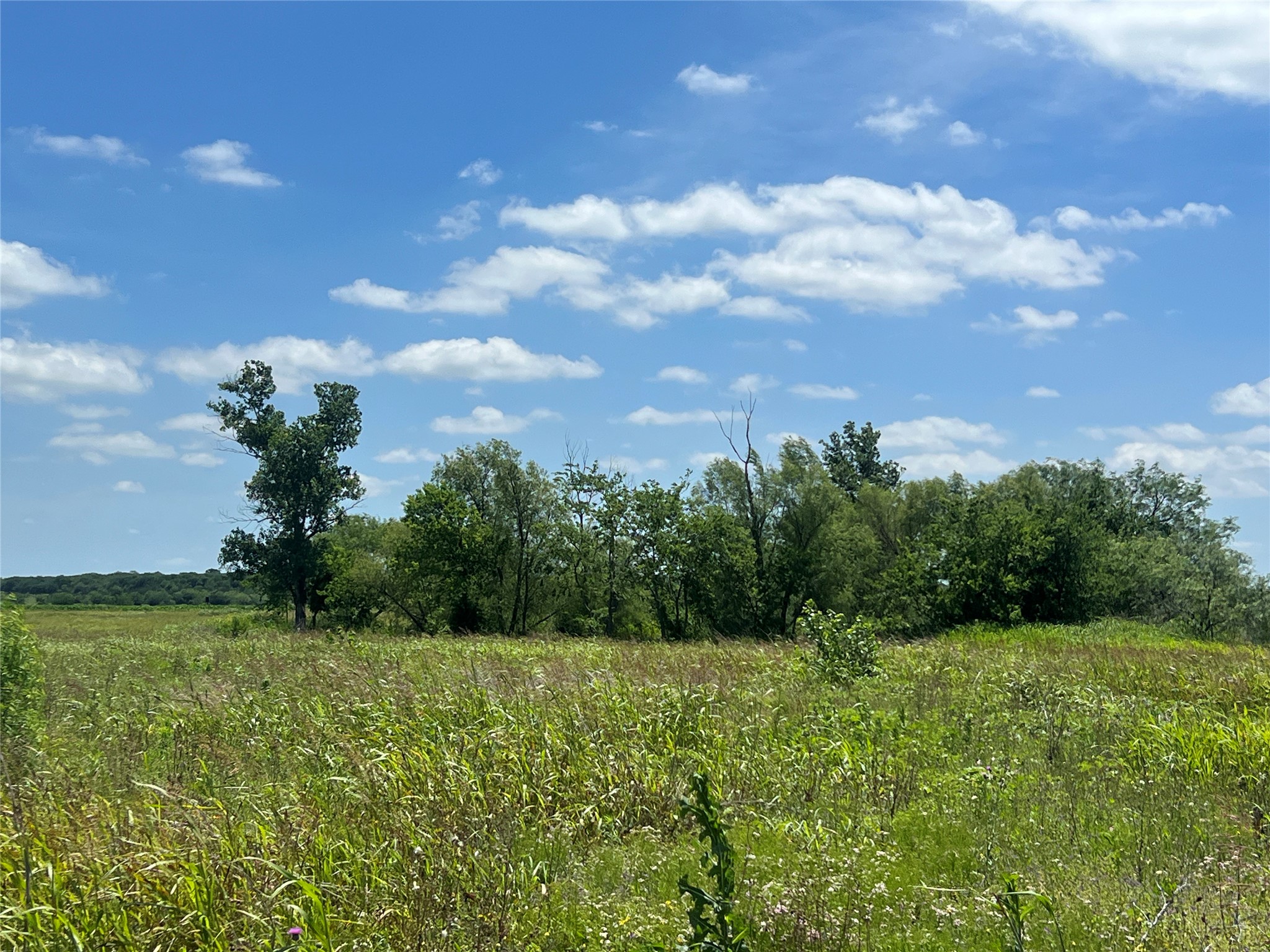 Tbd Hcr 1153 Blum TX 76627