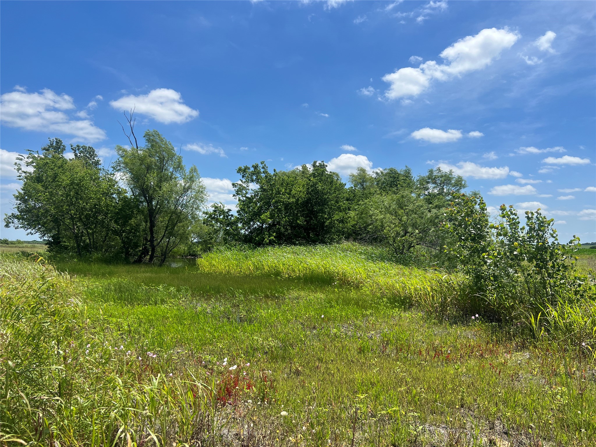 Tbd Hcr 1153 Blum TX 76627