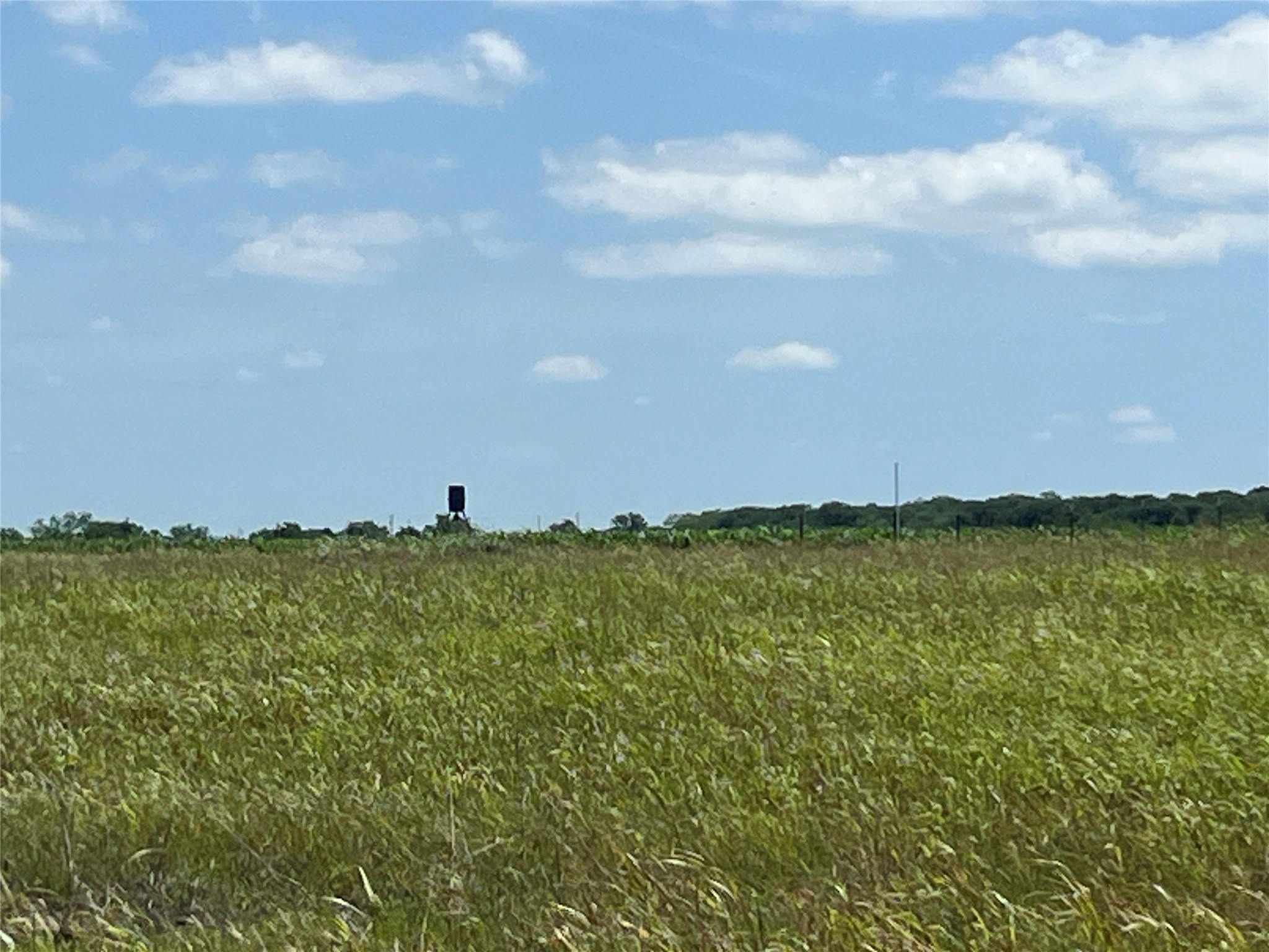 Tbd Hcr 1153 Blum TX 76627