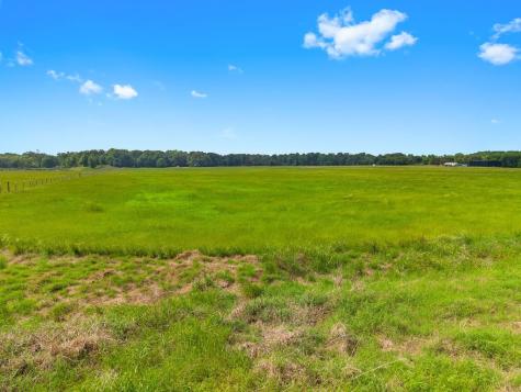 269 Vz County Road 4305 Ben Wheeler TX 75754
